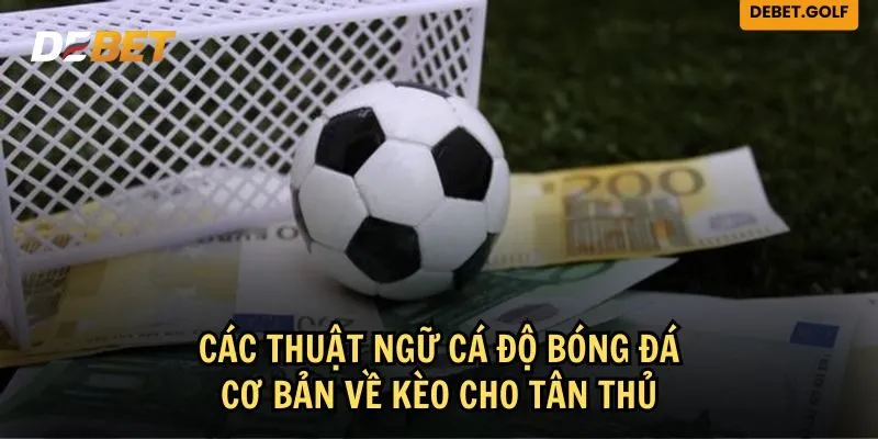 Thuật ngữ cá độ bóng đá cơ bản về các loại kèo